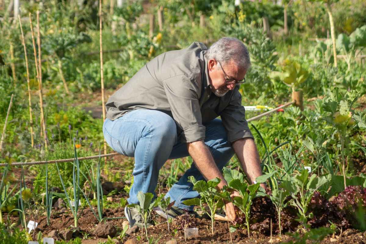 a man tending a garden
