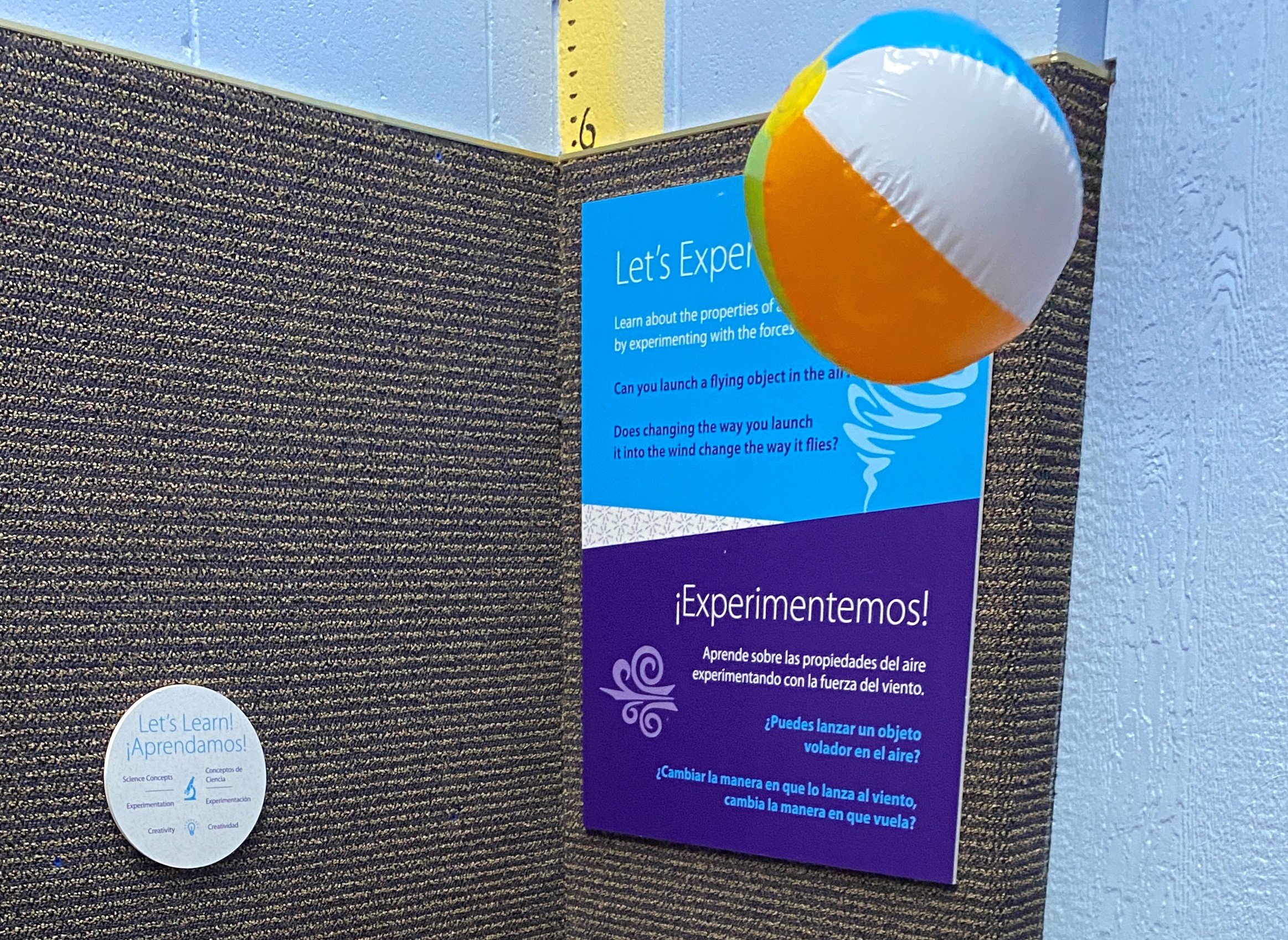 a balloon suspended in the air