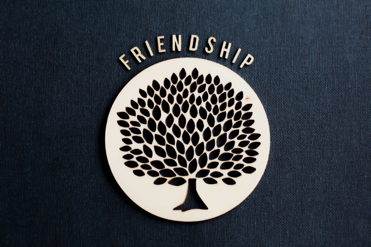 Friendship: A True Story of Adventure, Goodwill, and Endurance-book&nbsp;review