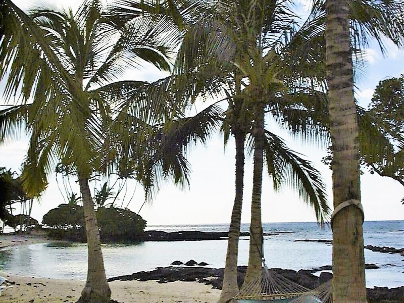 How to stay safe and well this&nbsp;summer