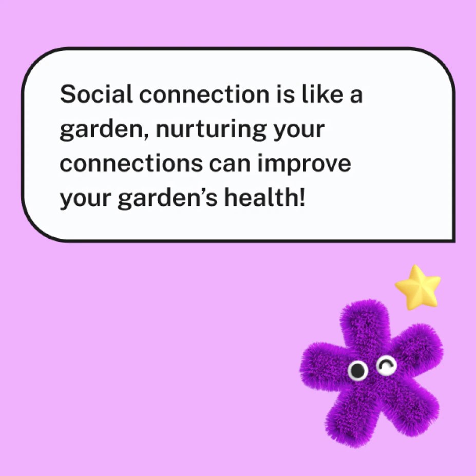 Social connection is like a garden, nurturing your connections can improve your garden's health!