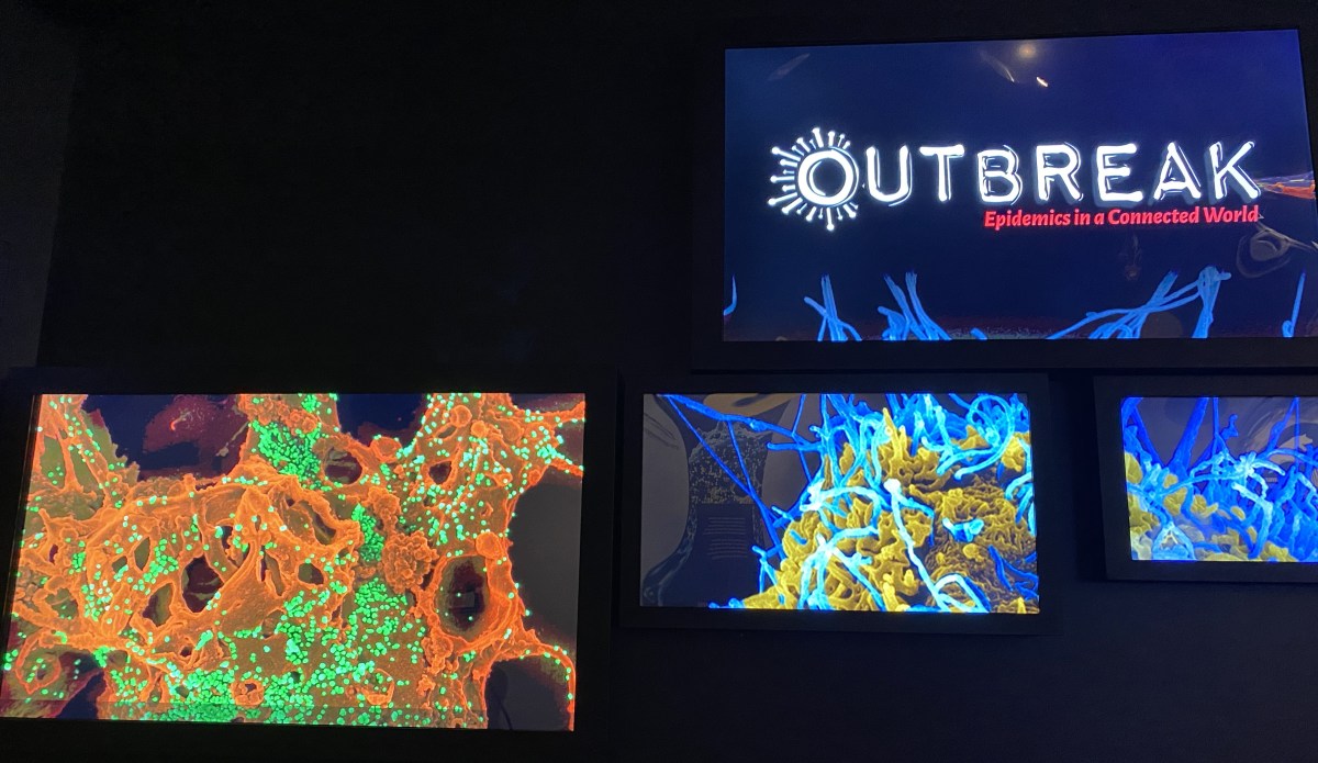 How Vaccination Protects Against Infectious and Chronic&nbsp;Diseases