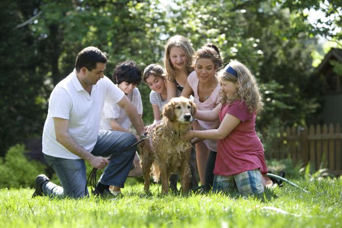 Tick-Borne Diseases: Smart Tips for&nbsp;Prevention